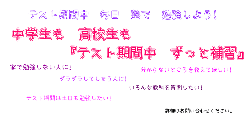 海南 学習塾 辻塾 個別指導